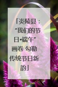 炎陵县：“我们的节日•端午”画卷 勾勒传统节日新韵