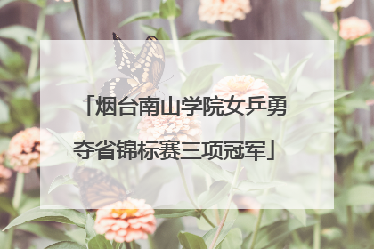 烟台南山学院女乒勇夺省锦标赛三项冠军
