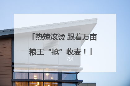 热辣滚烫 跟着万亩粮王“抢”收麦！