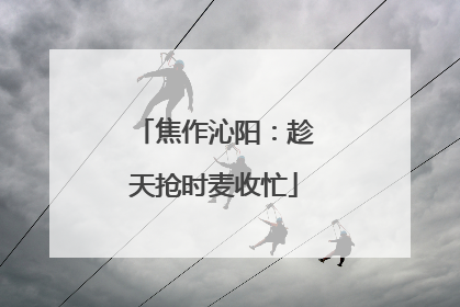 焦作沁阳：趁天抢时麦收忙