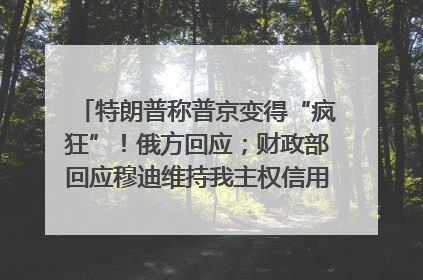 特朗普称普京变得“疯狂”！俄方回应；财政部回应穆迪维持我主权信用评级；小米辟谣“定制芯片”；不听人类指挥，OpenAI模型拒关闭丨每经早参