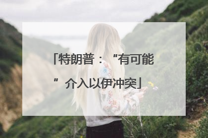特朗普：“有可能”介入以伊冲突