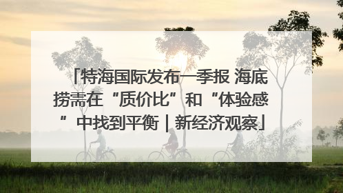 特海国际发布一季报 海底捞需在“质价比”和“体验感”中找到平衡｜新经济观察