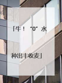 牛！“0”水种出丰收麦