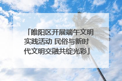 睢阳区开展端午文明实践活动 民俗与新时代文明交融共绽光彩