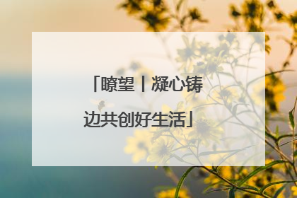 瞭望丨凝心铸边共创好生活