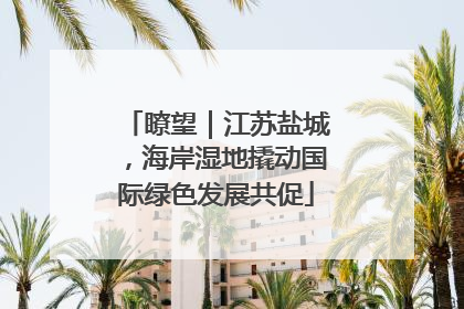 瞭望｜江苏盐城，海岸湿地撬动国际绿色发展共促