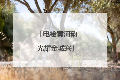 电绘黄河韵 光耀金城兴
