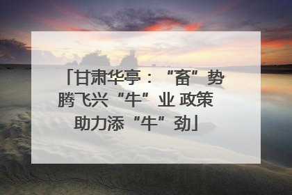 甘肃华亭：“畜”势腾飞兴“牛”业 政策助力添“牛”劲