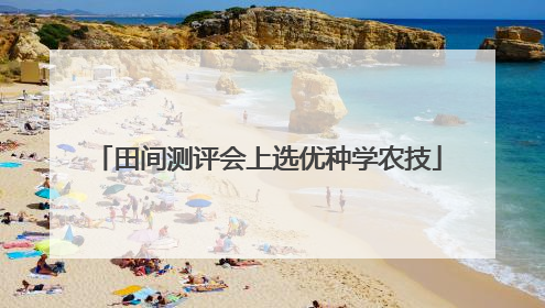 田间测评会上选优种学农技
