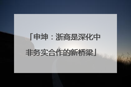 申坤：浙商是深化中非务实合作的新桥梁