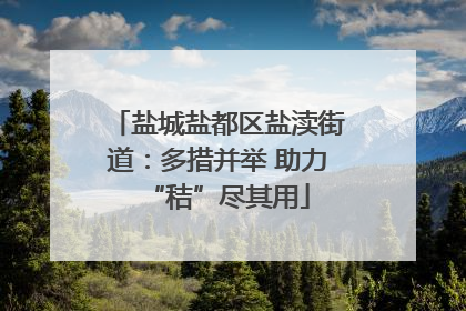 盐城盐都区盐渎街道：多措并举 助力“秸”尽其用