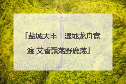 盐城大丰：湿地龙舟竞渡 艾香飘荡野鹿荡