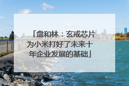 盘和林：玄戒芯片为小米打好了未来十年企业发展的基础