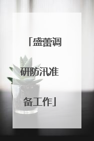 盛蕾调研防汛准备工作