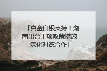 真金白银支持！湖南出台十项政策措施深化对德合作
