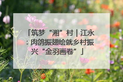 筑梦“湘”村｜江永：肉鸽振翅绘就乡村振兴“金羽画卷”