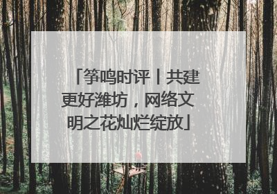 筝鸣时评丨共建更好潍坊，网络文明之花灿烂绽放