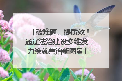 破难题、提质效！通辽法治建设多维发力绘就善治新图景