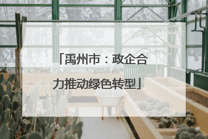 禹州市：政企合力推动绿色转型