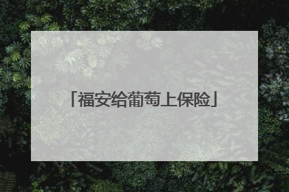 福安给葡萄上保险