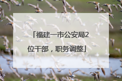 福建一市公安局2位干部，职务调整
