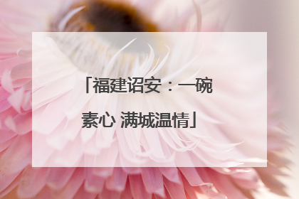 福建诏安：一碗素心 满城温情