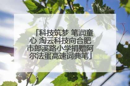 科技筑梦 笔润童心 淘云科技向合肥市郎溪路小学捐赠阿尔法蛋高速词典笔