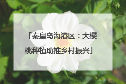 秦皇岛海港区：大樱桃种植助推乡村振兴