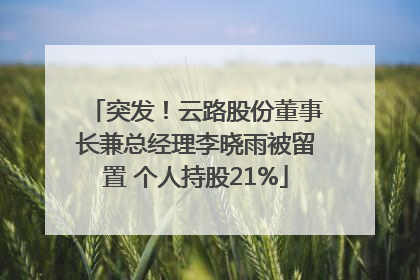 突发！云路股份董事长兼总经理李晓雨被留置 个人持股21%