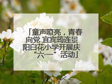 童声嘹亮，青春向党 宜宾筠连景阳白花小学开展庆“六·一”活动