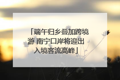 端午归乡叠加跨境游 南宁口岸将迎出入境客流高峰