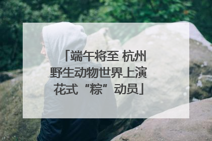 端午将至 杭州野生动物世界上演花式“粽”动员