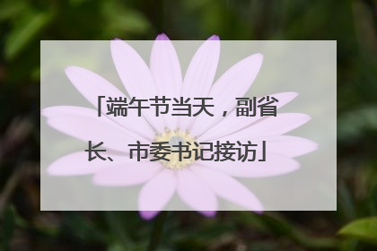 端午节当天，副省长、市委书记接访