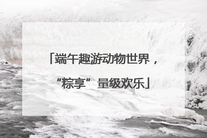 端午趣游动物世界，“粽享”量级欢乐