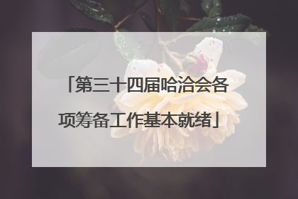 第三十四届哈洽会各项筹备工作基本就绪