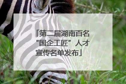 第二届湖南百名“国企工匠”人才宣传名单发布