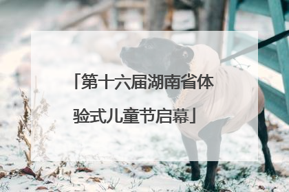 第十六届湖南省体验式儿童节启幕