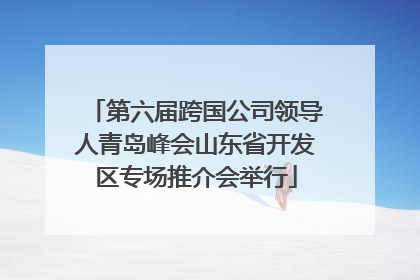 第六届跨国公司领导人青岛峰会山东省开发区专场推介会举行