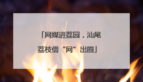 网媒进荔园，汕尾荔枝借“网”出圈