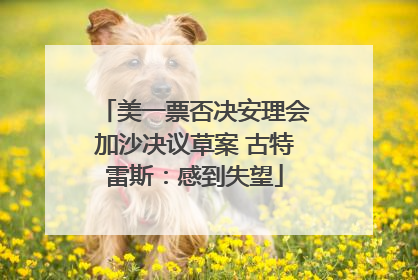 美一票否决安理会加沙决议草案 古特雷斯：感到失望