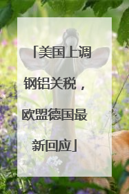 美国上调钢铝关税，欧盟德国最新回应