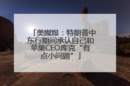 美媒爆：特朗普中东行期间承认自己和苹果CEO库克“有点小问题”