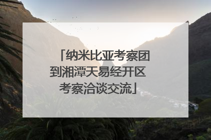 纳米比亚考察团到湘潭天易经开区考察洽谈交流