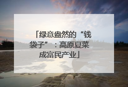 绿意盎然的“钱袋子”：高原夏菜成富民产业