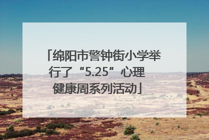 绵阳市警钟街小学举行了“5.25”心理健康周系列活动