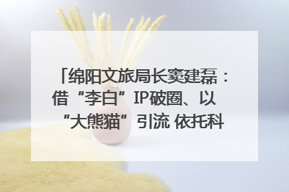 绵阳文旅局长窦建磊：借“李白”IP破圈、以“大熊猫”引流 依托科技优势绽放城市文旅魅力｜文旅局长说