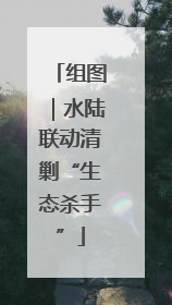 组图｜水陆联动清剿“生态杀手”