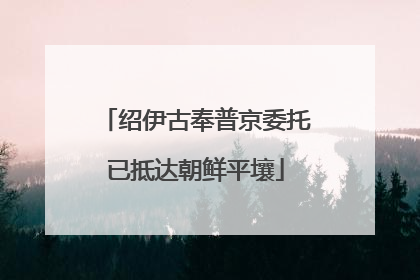 绍伊古奉普京委托已抵达朝鲜平壤