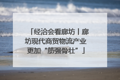 经洽会看廊坊丨廊坊现代商贸物流产业更加“筋强骨壮”
